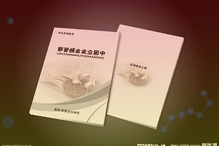 马斯克：外后视镜很影响电动汽车续航今后可能取消